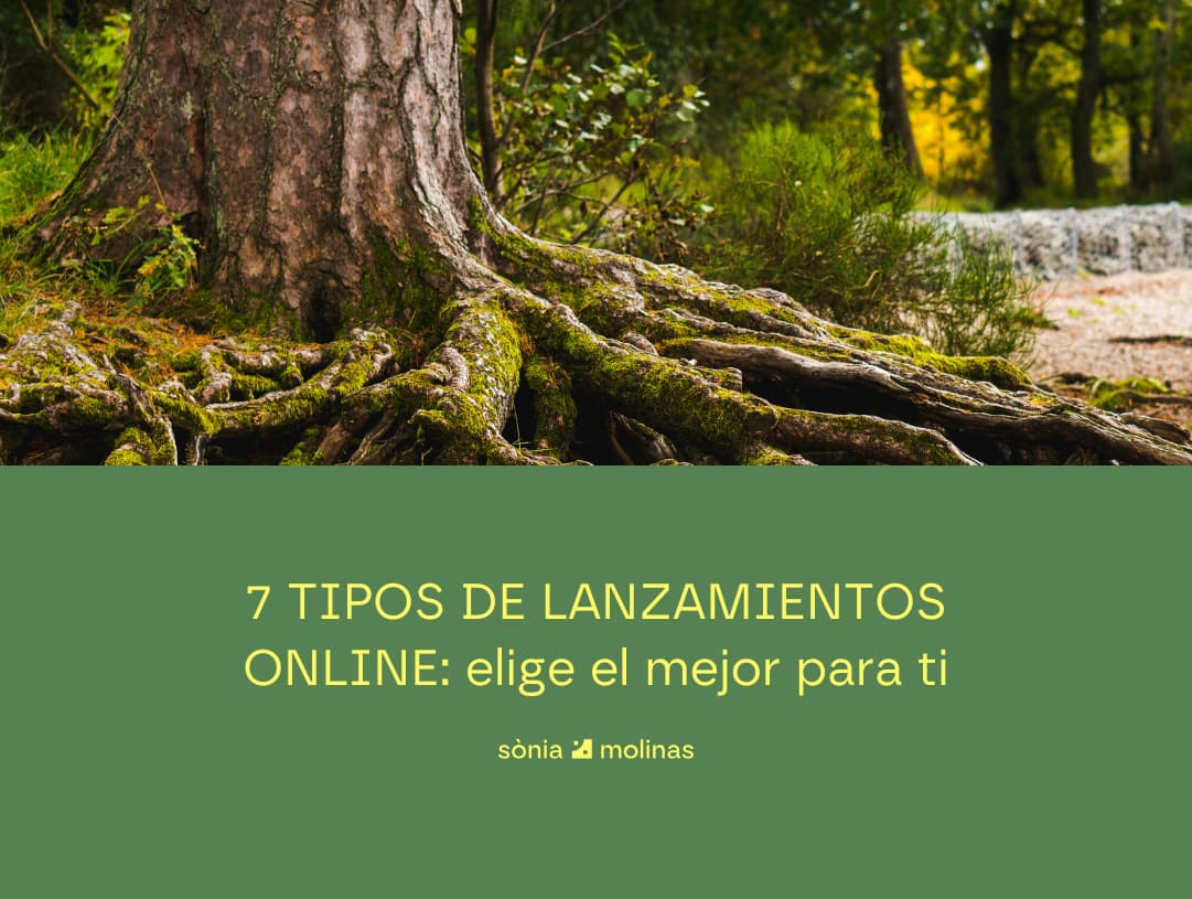 lanzamiento cursos online